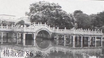 Bridge photography by Yang Shuya