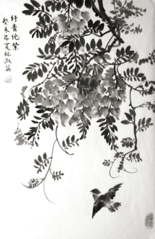 SunnyDay archive photograph or document
